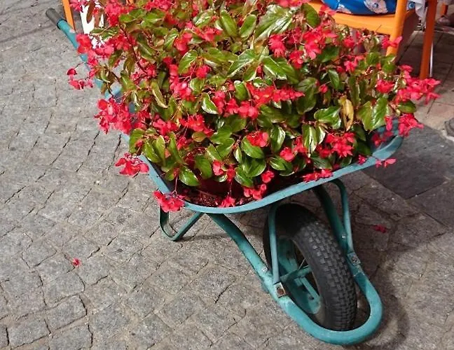 Semesterbostad Riviere Retreat